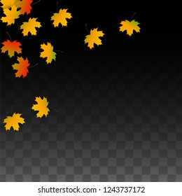 Autumn Vector Background with Golden Falling Leaves. Autumn Illustration with Maple Red, Orange, Yellow Foliage. Isolated Leaf on Transparent Background. Bright Swirl. Suitable for Posters.
