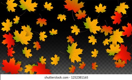 Autumn Vector Background with Golden Falling Leaves. Autumn Illustration with Maple Red, Orange, Yellow Foliage. Isolated Leaf on Transparent Background. Bright Swirl. Suitable for Covers.