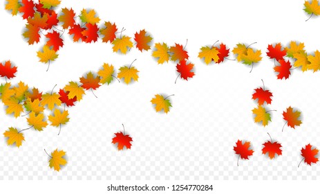 Autumn Vector Background with Golden Falling Leaves. Autumn Illustration with Maple Red, Orange, Yellow Foliage. Isolated Leaf on Transparent Background. Bright Swirl. Suitable for Flyers.
