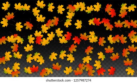 Autumn Vector Background with Golden Falling Leaves. Autumn Illustration with Maple Red, Orange, Yellow Foliage. Isolated Leaf on Transparent Background. Bright Swirl. Suitable for Cards.