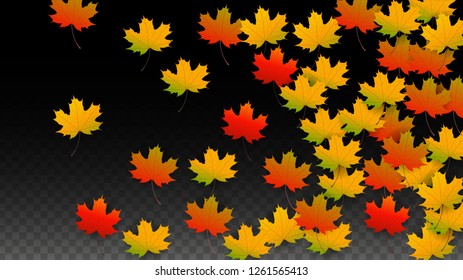 Autumn Vector Background with Golden Falling Leaves. Autumn Illustration with Maple Red, Orange, Yellow Foliage. Isolated Leaf on Transparent Background. Bright Swirl. Suitable for Covers.