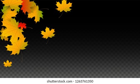 Autumn Vector Background with Golden Falling Leaves. Autumn Illustration with Maple Red, Orange, Yellow Foliage. Isolated Leaf on Transparent Background. Bright Swirl. Suitable for Banners.