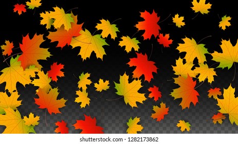 Autumn Vector Background with Golden Falling Leaves. Autumn Illustration with Maple Red, Orange, Yellow Foliage. Isolated Leaf on Transparent Background. Bright Swirl. Suitable for Covers.