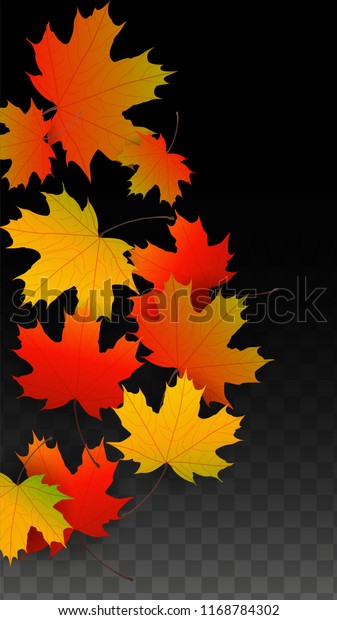 Stevengood: Fall Vector Fall Leaf Background