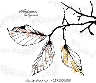 Autumn vector background with leaves