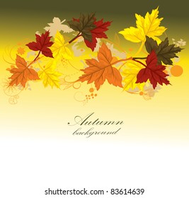 Autumn vector background with leaves