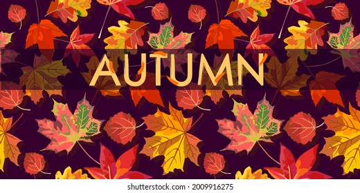 Autumn vector background with leaves and text 