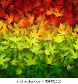 Autumn vector background, natural backdrop with colorful leaves