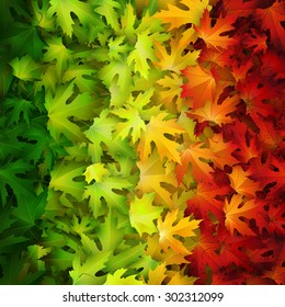Autumn vector background, natural backdrop with colorful leaves
