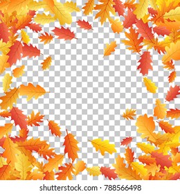 Autumn vector background with oak leaf frame or border illustration on transparent background. Autumn leaves falling, foliage seasonal image. Red, yellow, orange, brown dry oak tree leaves background