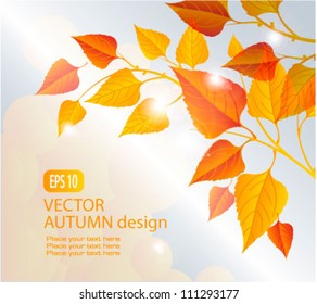 Autumn vector background. Orange Autumn leaves