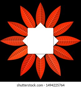 Autumn vector background with orange leaves.