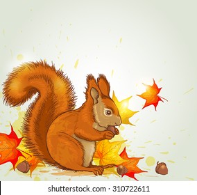 Autumn vector background with red fluffy squirrel and maple leaves