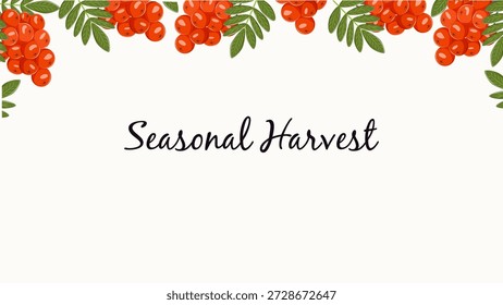 Fondo de Vector de otoño con bayas rojas y hojas verdes formando un marco decorativo. Anuncio de dibujos animados con espacio de copia para Anuncios de Web, publicidad, comida y proyectos de naturaleza.