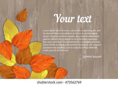 Autumn vector banner. Background with yellow, orange, red autumn leaves on wooden surface. There is  place for your text.