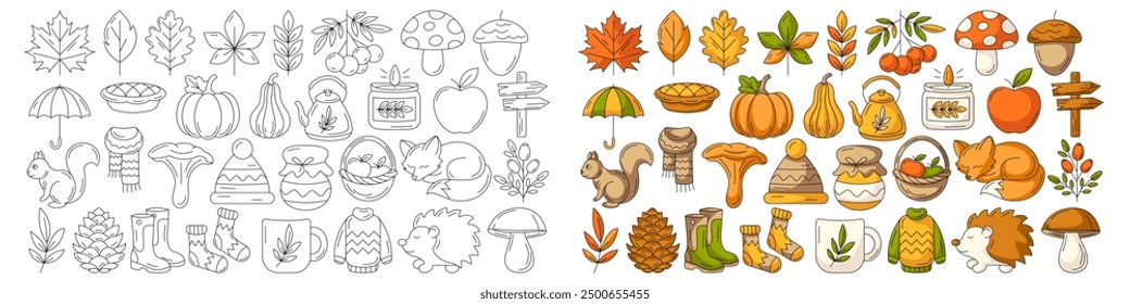 Autumn vector black outline icons and colorful illustration set. Season collection, seasonal elements, symbols and attributes. Fall leaves, clothes, mushrooms, wild animals, berry, pumpkin.