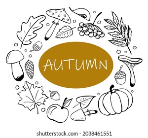 Autumn vector botanical set. Hand-drawn doodle autumn icons