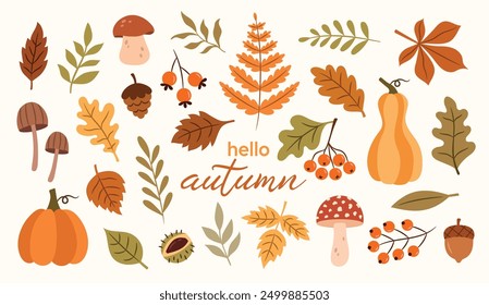 Autumn vector botanical set of leaves, mushrooms, plants, branches, berries