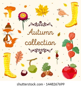 Autumn vector collection with birds, leaf,  rowan, mushroom, acorns, fox, 
physalis, gumboots, apple, flower. 