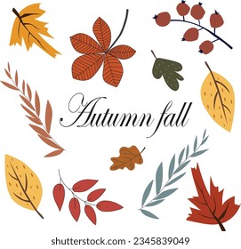 Autumn vector collection of leaves on white background