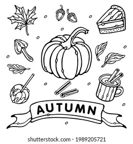 Autumn vector collection. Outline Set of fall vector objects: pumpkin, leaves, mug, cinnamon, piece of pie, acorns, mushroom, apple with caramel. Doodle style isolated on white background