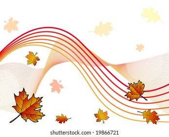 Autumn vector design and layout with colorful leaves