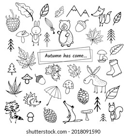 Autumn vector doodle, simple icons, cute forest animals