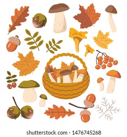 Elementos vectoriales otoñales aislados. Colección de objetos forestales e iconos de otoño. Setas, hojas, bayas, cesta, bellotas, cementerio ilustrado vectorial.