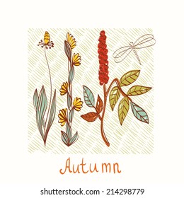 Autumn. Vector floral background. Flower element for design.