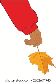 Vector de otoño y arte gráfico, 
vector de hojas de otoño