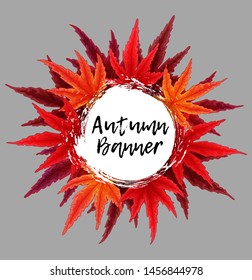 Autumn vector grunge round banner with hand draw and red japanese maple leaves with watercolor imitation.