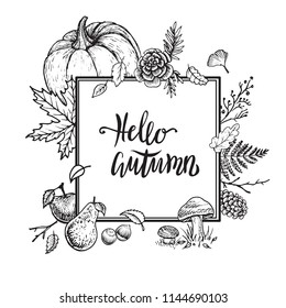 Autumn vector hand drawn design. Vintage card template with leaves, pumpkin, apples, forest and garden plants. Hello Autumn frame. 