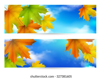 Autumn vector horizontal banner, background with maple leaves 