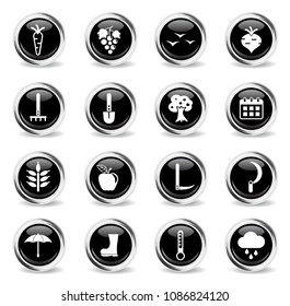 autumn vector icons - black round chrome buttons