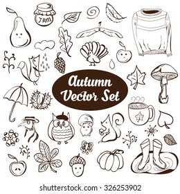 Autumn vector icons set. Hand drawn vector illustration for you design, web and mobile applications.