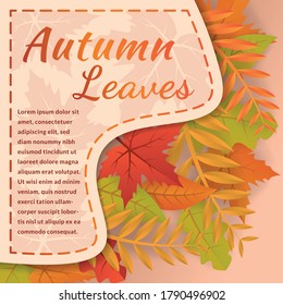 Autumn vector illustration with bright leaves. Autumn natural leaves Background. Design for greeting card, Sale or promotion poster, flyer, web banner.