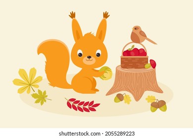 Autumn vector illustration. Cute cartoon squirrel putting harvest in the basket, and a little bird sitting on the basket. Character design vector art.