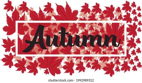 Autumn Vector Illustration of an Autumn Design Bright falls leaves. Poster, card, label, banner design set. Vector illustration
