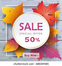 Autumn Vector illustration. Fall sales season poster. Thanksgiving Holiday decoration. Maple tree leaves, lettering, water drops on grey wood texture. Autumn Sale wooden  background. Sale gift banner