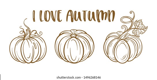 Autumn vector illustration. Graphic pumpkins set on a white background. Seasonal greeting card.