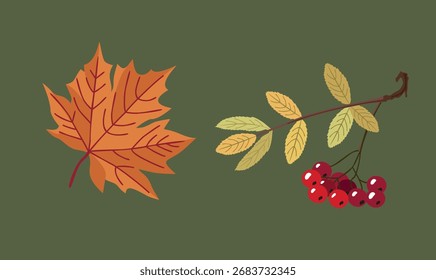 Herbst-Vektorgrafik mit orangefarbenem Blatt und Ast mit roten Beeren