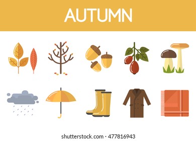 Autumn vector items set. Autumn season.