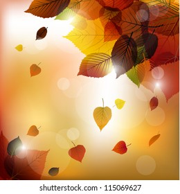 Autumn vector leafs background- fall illustration with back light