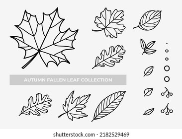 Autumn vector leafs illustration colection set on isolated background