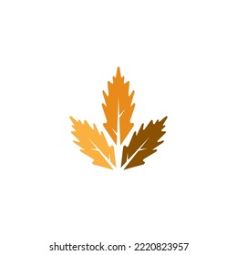 Autumn Vector Leaves  Vector Art And Graphics