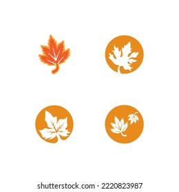 Autumn Vector Leaves  Vector Art And Graphics