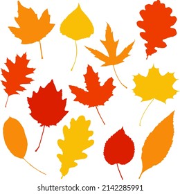 Autumn vector leaves. Graphic illustration. Silhouette isolated on white background.