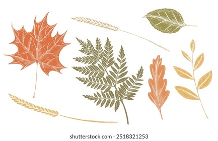 Autumn vector leaves on isolated background. Drawing of fall dried plants with oak and maple leaf and fern for harvest festival or thanksgiving greeting cards or invitation. Illustration of branch.