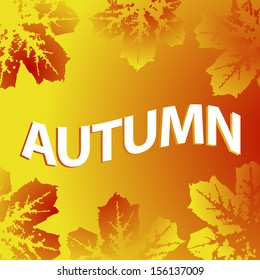 Autumn vector , autumn leaves on the sky background , element of design .