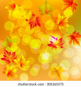 Autumn vector leaves text blurred background with shadow